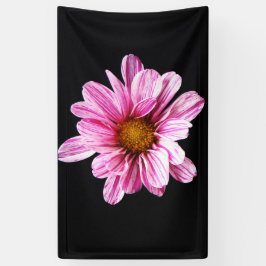 Chrysanthemum Bloemboom Spandoek
