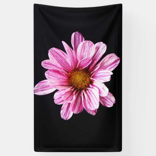 Chrysanthemum Bloemboom Spandoek (Verticaal)