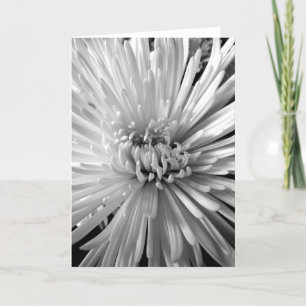 Chrysanthemum Blossom Kaart