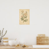 Chrysanthemum botanische print (Keuken)