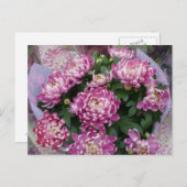 Chrysanthemum Bouquet Briefkaart (Voorkant / Achterkant)