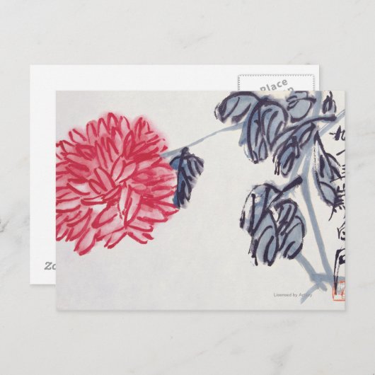 Chrysanthemum Briefkaart (Voorkant / Achterkant)