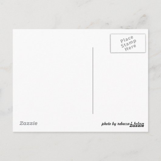 Chrysanthemum Briefkaart (Achterkant)