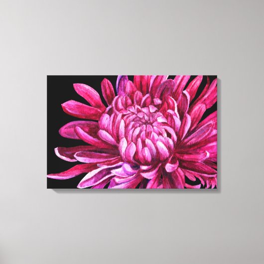 Chrysanthemum "de opening" canvasprint zwart canvas afdruk (Voorkant)