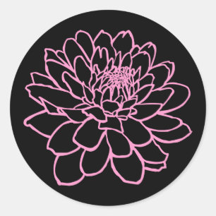 Chrysanthemum Drawing - Roze op zwart Ronde Sticker