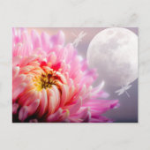Chrysanthemum en Moon Briefkaart (Voorkant)