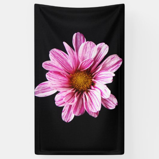 Chrysanthemum Flower BNRA Spandoek (Verticaal)