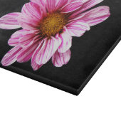 Chrysanthemum Flower cbcna Snijplank (Hoek)