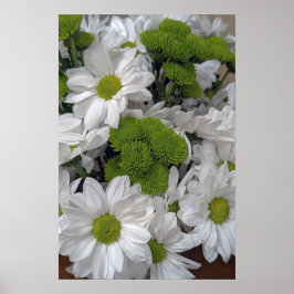 Chrysanthemum flower Poster