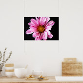 Chrysanthemum Flower wapcnm Poster (Keuken)