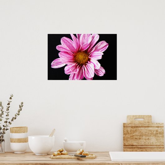 Chrysanthemum Flower wapn. Poster (Keuken)