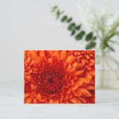 Chrysanthemum Flowers Briefkaart (Staand voorkant)