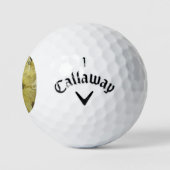 CHRYSANTHEMUM GOLFBALLEN (Logo)