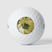 CHRYSANTHEMUM GOLFBALLEN (Voorkant)