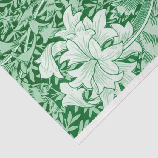 Chrysanthemum Green, William Morris Tissuepapier (Detail)