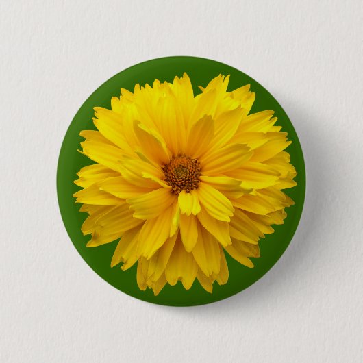Chrysanthemum - Groen Ronde Button 5,7 Cm (Voorkant)