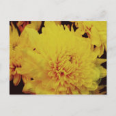 Chrysanthemum II Briefkaart (Voorkant)