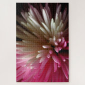 Chrysanthemum in roze en wit legpuzzel (Verticaal)