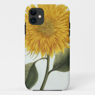 Chrysanthemum Indicum uit 'Pythanthoza Iconograph' Case-Mate iPhone Case
