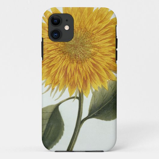 Chrysanthemum Indicum uit 'Pythanthoza Iconograph' Case-Mate iPhone Case (Achterkant)