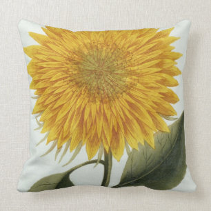 Chrysanthemum Indicum uit 'Pythanthoza Iconograph' Kussen