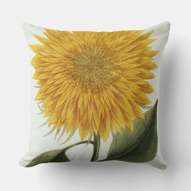 Chrysanthemum Indicum uit 'Pythanthoza Iconograph' Kussen (Voorkant)