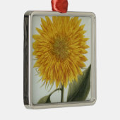 Chrysanthemum Indicum uit 'Pythanthoza Iconograph' Metalen Ornament (Rechts)