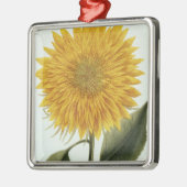 Chrysanthemum Indicum uit 'Pythanthoza Iconograph' Metalen Ornament (Links)