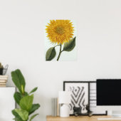 Chrysanthemum Indicum uit 'Pythanthoza Iconograph' Poster (Thuiskantoor)