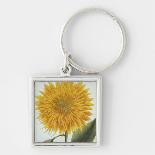 Chrysanthemum Indicum uit 'Pythanthoza Iconograph' Sleutelhanger (Voorkant)