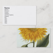 Chrysanthemum Indicum uit 'Pythanthoza Iconograph' Visitekaartje (Voorkant / Achterkant)