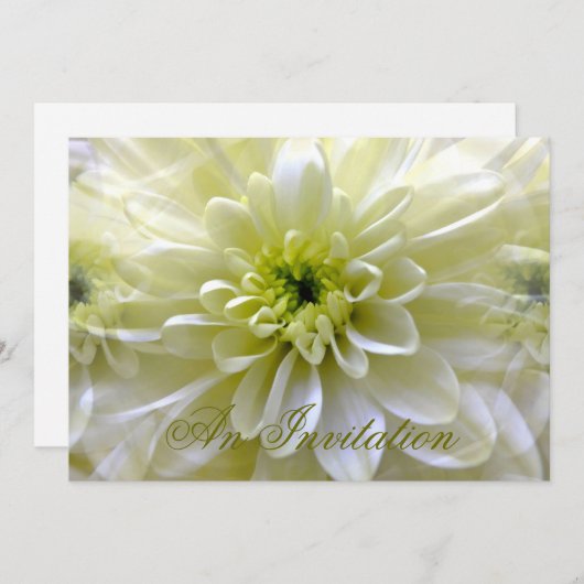 CHRYSANTHEMUM KAART (Voorkant / Achterkant)