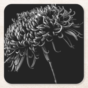 Chrysanthemum Kartonnen Onderzetters