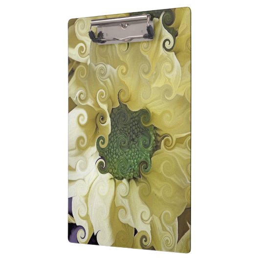 CHRYSANTHEMUM KLEMBORD (Links)