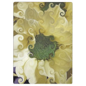 CHRYSANTHEMUM KLEMBORD (Achterkant)