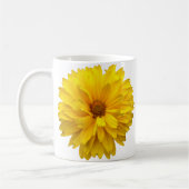 Chrysanthemum Koffiemok (Links)