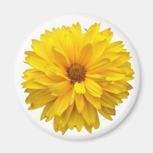 Chrysanthemum Magneet