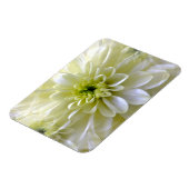 CHRYSANTHEMUM MAGNEET (Linkerzijde)