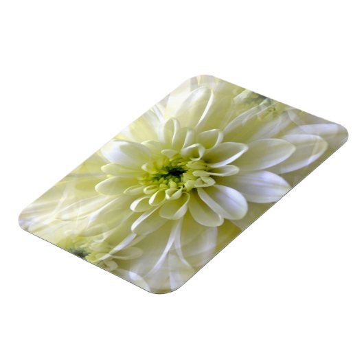 CHRYSANTHEMUM MAGNEET (Linkerzijde)
