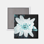Chrysanthemum Magneet (Voorkant / Achterkant)