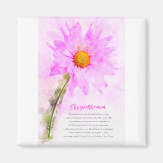 Chrysanthemum Magneet