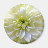 CHRYSANTHEMUM MAGNEET (Voorkant)