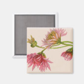 Chrysanthemum - Magnet (Voorkant / Achterkant)
