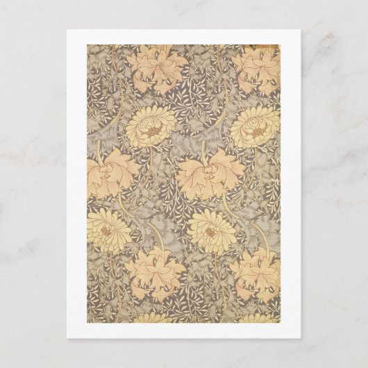 'Chrysanthemum' mapontwerp, 1876 Briefkaart (Voorkant)