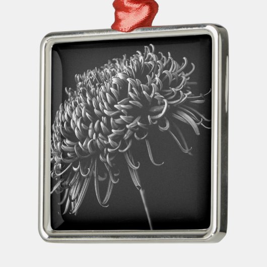 Chrysanthemum Metalen Ornament (Links)