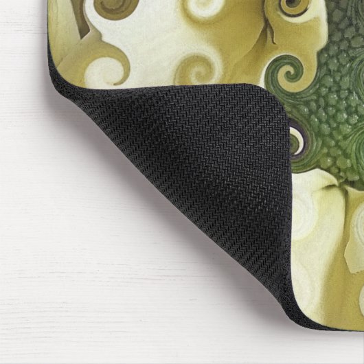 CHRYSANTHEMUM MUISMAT (Hoek)