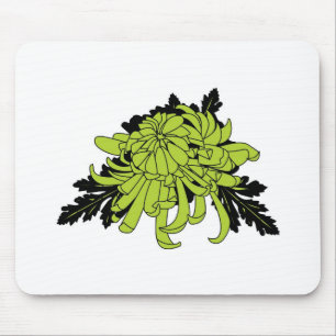 Chrysanthemum Muismat