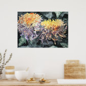 Chrysanthemum mum shasta maisy art print (Keuken)