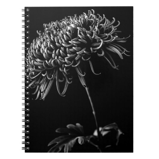 Chrysanthemum Notitieboek (Voorkant)