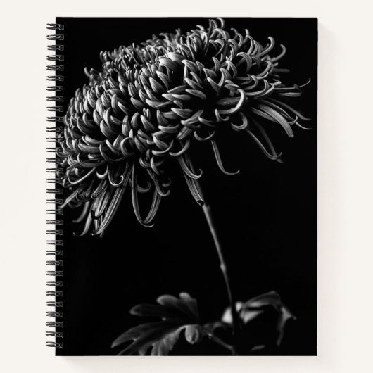 Chrysanthemum Notitieboek (Voorkant)